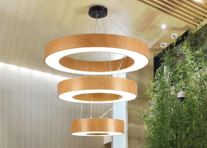 Circle Ring Commercial Pendant Lighting Fixtures 36w 1000mm